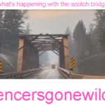 what's happening with the scotch bridge